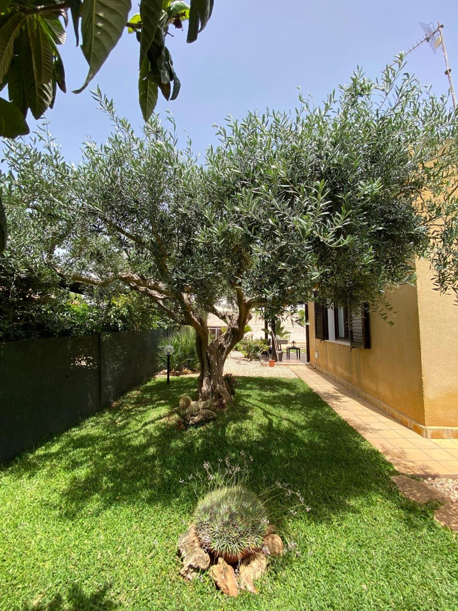 Villa Barbera Марсала Екстериор снимка