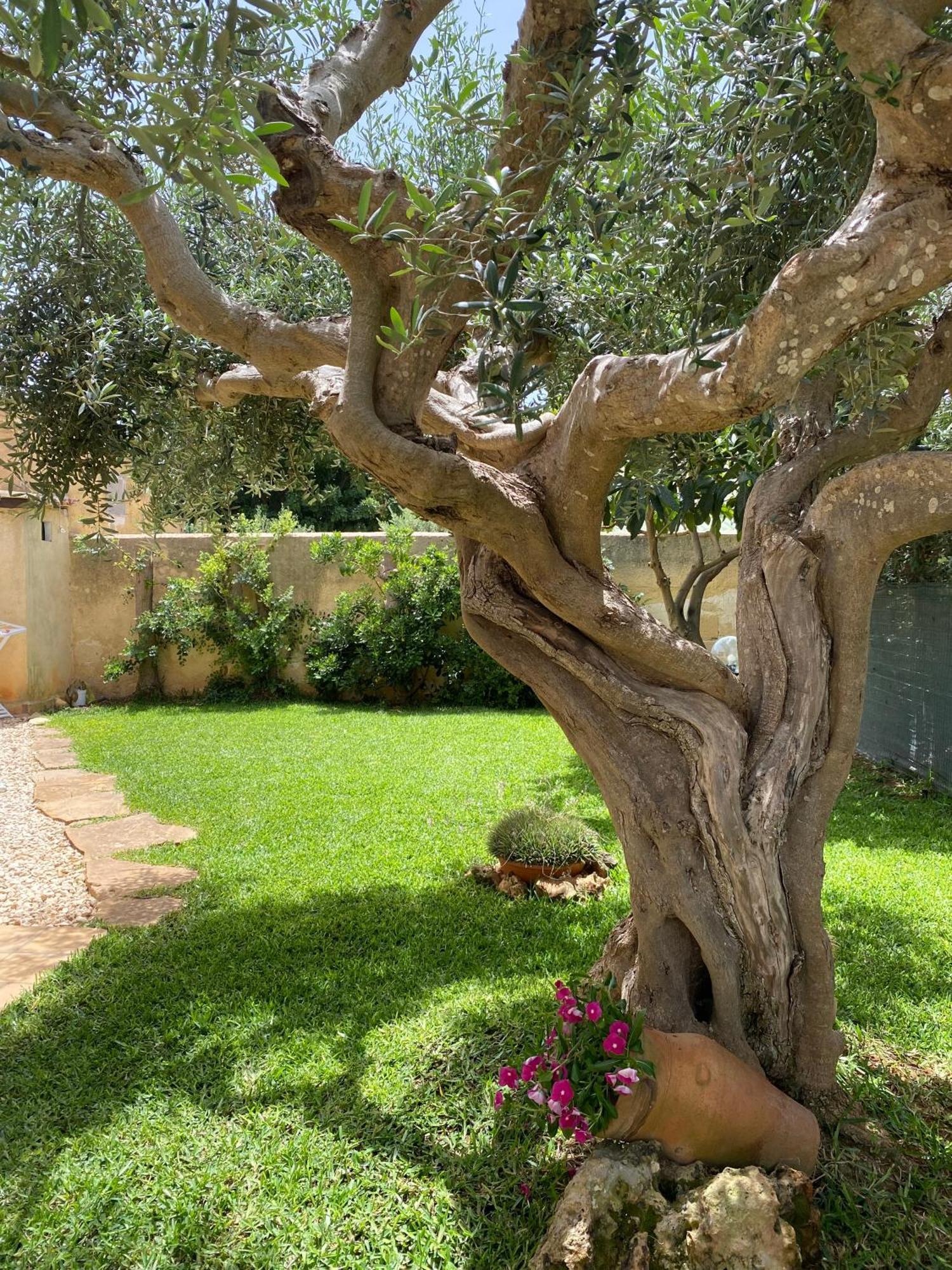 Villa Barbera Марсала Екстериор снимка